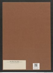 Diatomeae indet. Zeichnungen Sammlung Grunow Mappe 02335 (Herbarium_W_Grunow_drawings_Folder_02335)